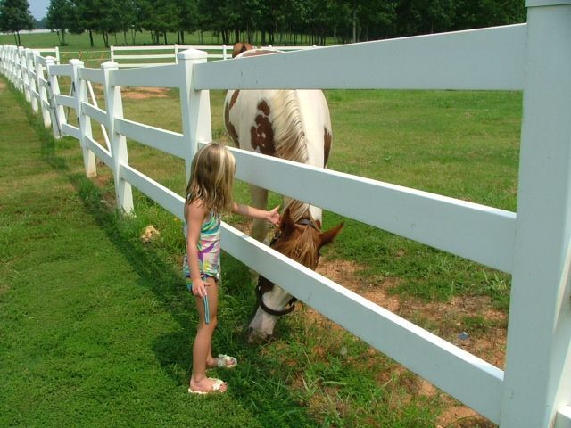 Girl petting a paint horse over a white fence in a grassy field.