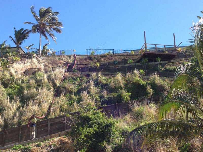 A Fenced In Area With A Palm Tree In The Background — Mulch, Fencing And Landscaping Mackay, QLD