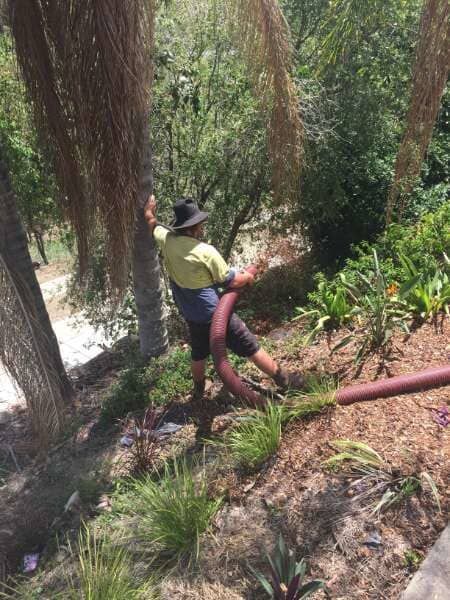 A Man Is Standing Next To A Tree Holding A Hose— Mulch, Fencing And Landscaping Mackay, QLD