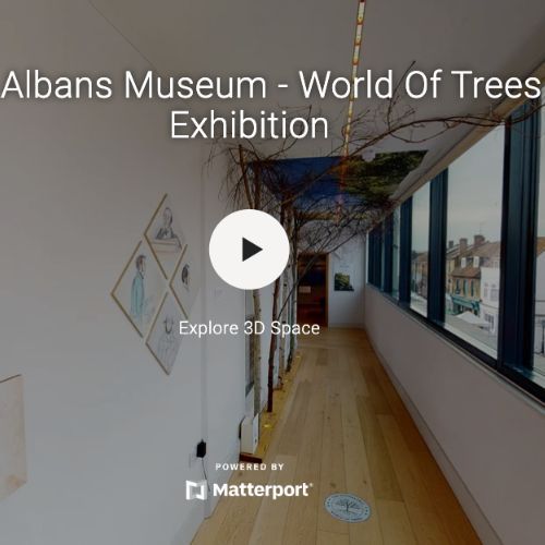 A virtual tour of the albans museum - world of trees exhibition