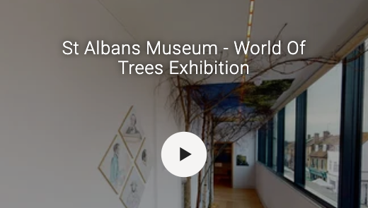 St Albans Museum virtual tour