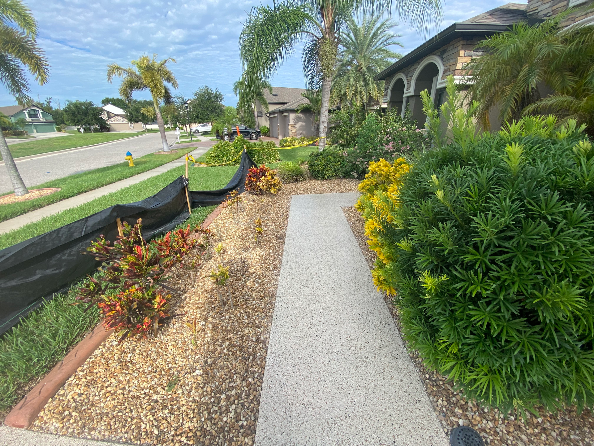 A sidewalk leading to a house with a lot of plants and bushes.