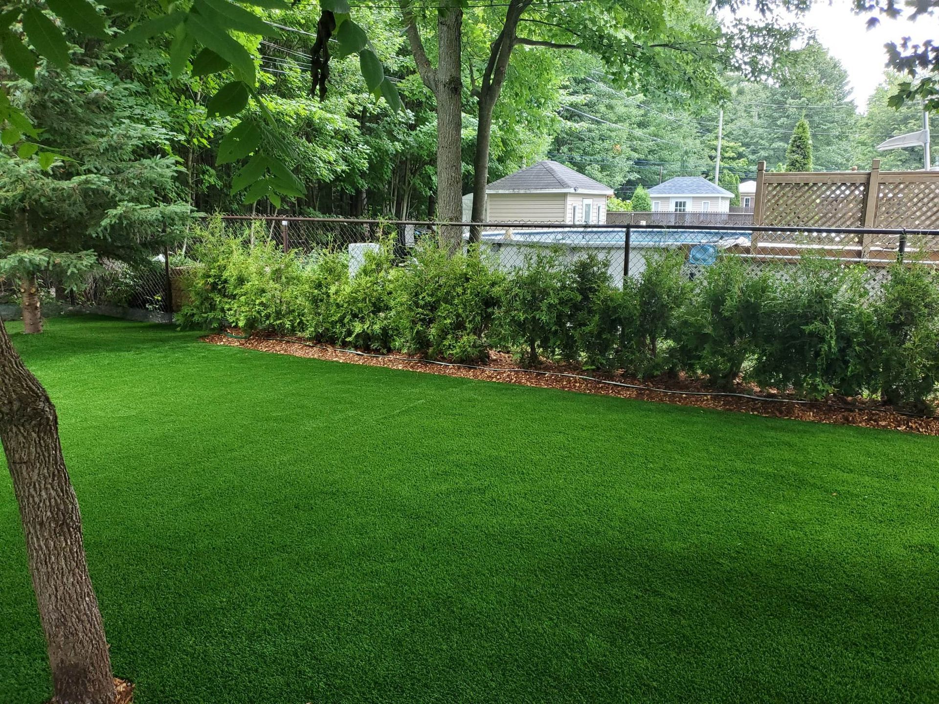 Un gazon artificiel luxuriant dans un jardin, bordé de haies et d'une clôture noire. Des arbres encadrent l'arrière-plan et on aperçoit une piscine.