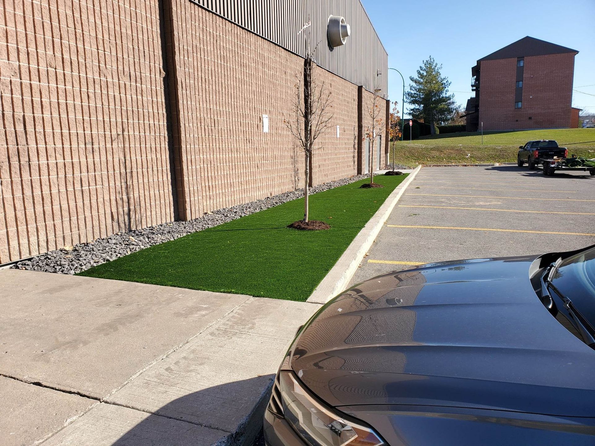 Une voiture noire garée près d'un bâtiment avec une bande de gazon artificiel et de jeunes arbres.