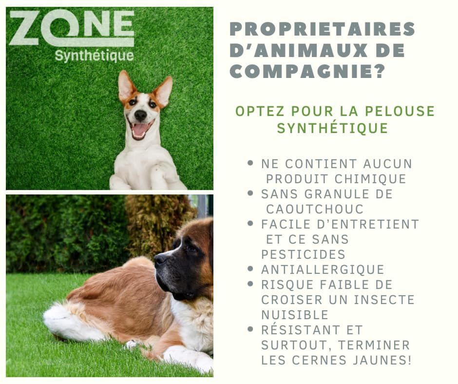 Publicité pour du gazon synthétique, mettant en scène un chien et un texte vantant ses avantages pour les propriétaires d'animaux : sans produits chimiques, facile d'entretien et résistant aux taches jaunes.
