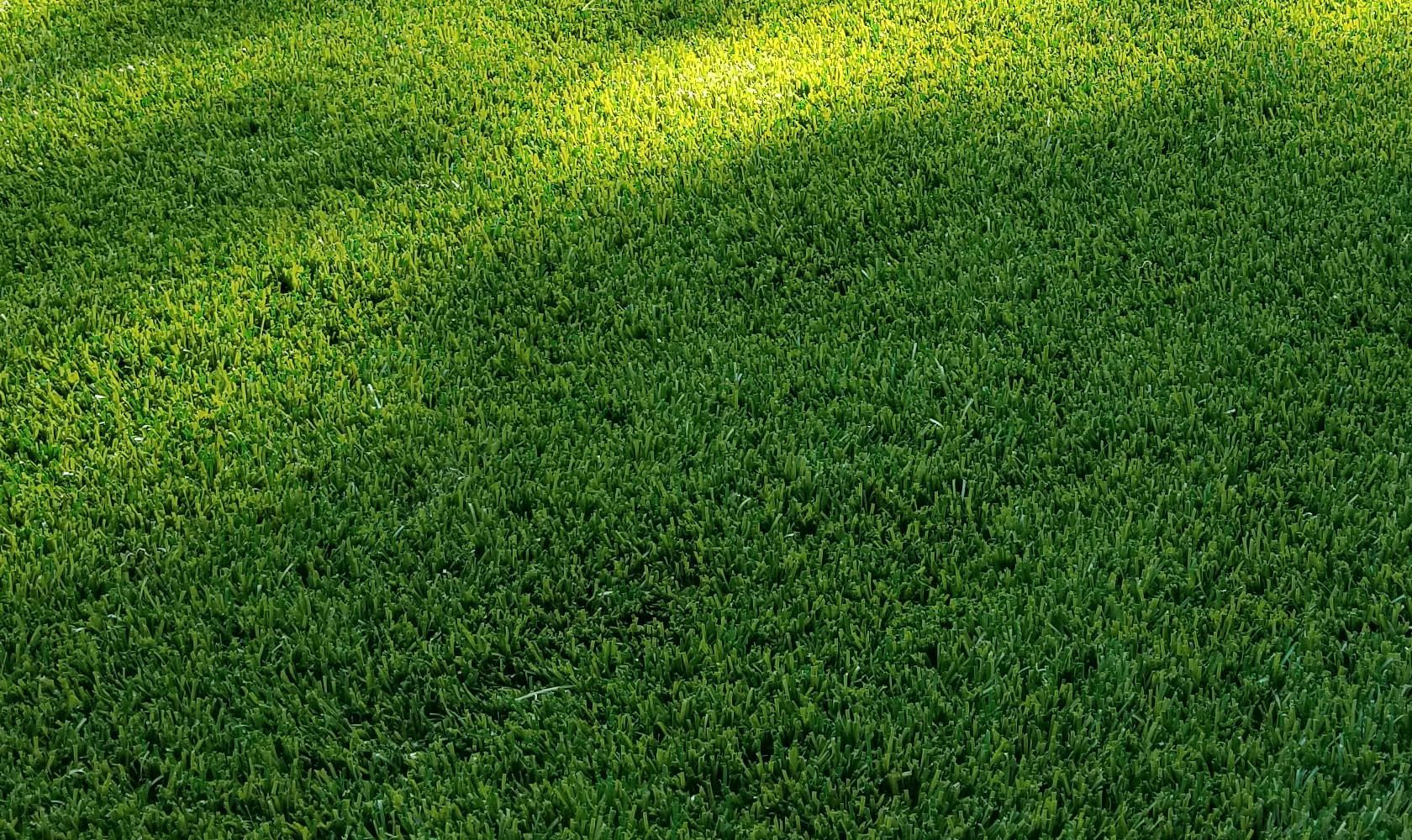 Gros plan d'une pelouse verte vibrante avec des taches de soleil et d'ombre.