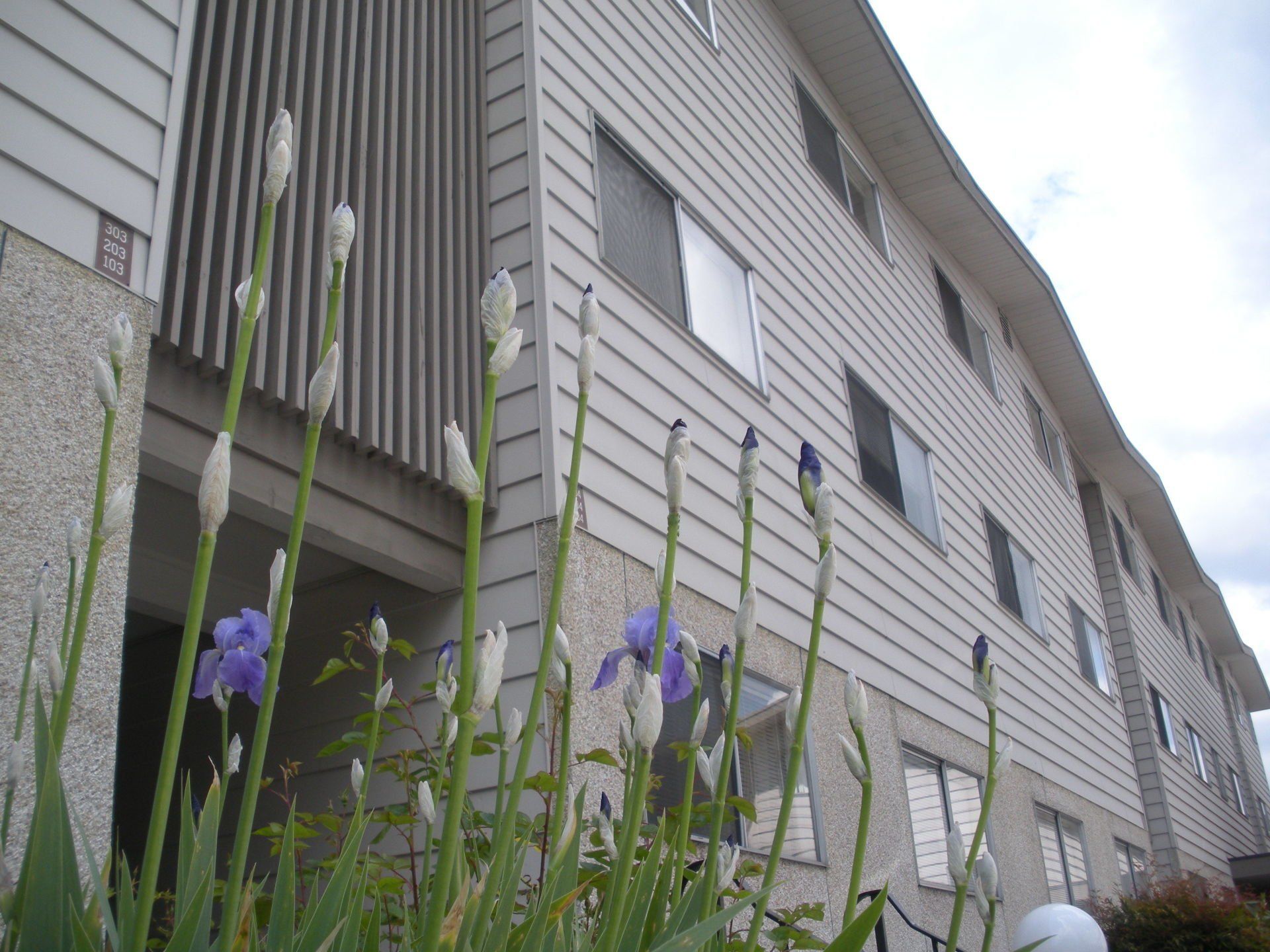 Burien Place Apartments Exterior