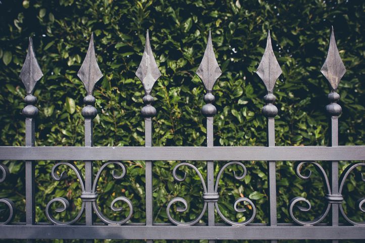Iron fence with green leaves