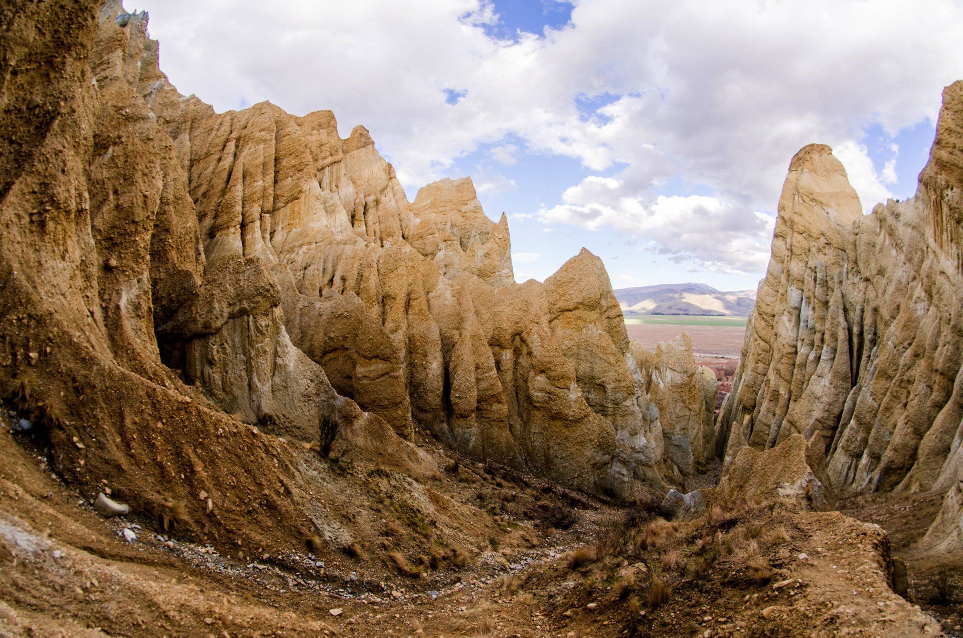 Paritea Clay Cliffs