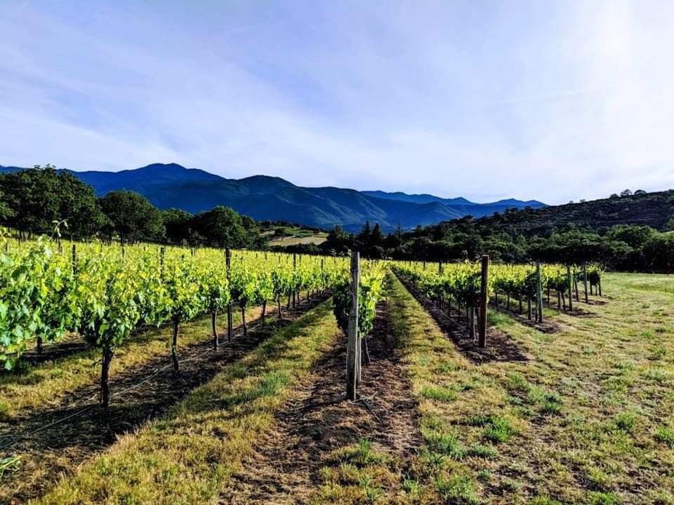 Ashland Oregon Malbec