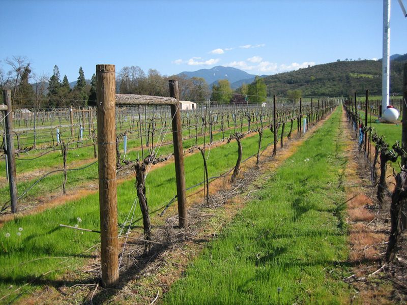 Ashland Oregon Cabernet Sauvignon