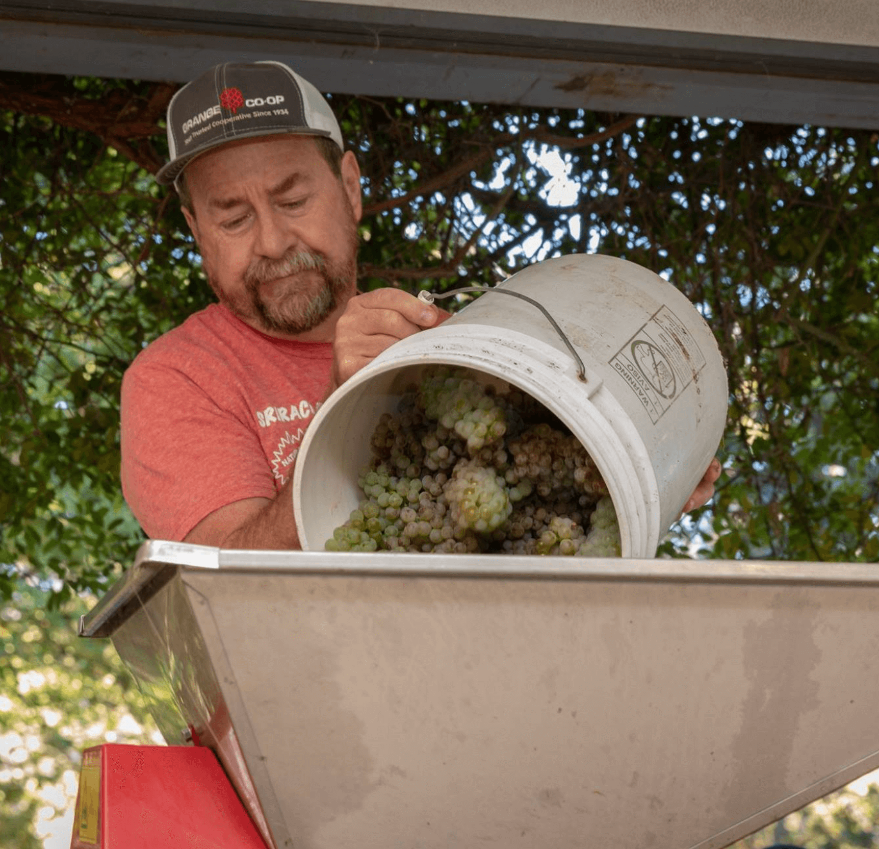 Underground Wine Academy - Ashland Oregon Wine Classes