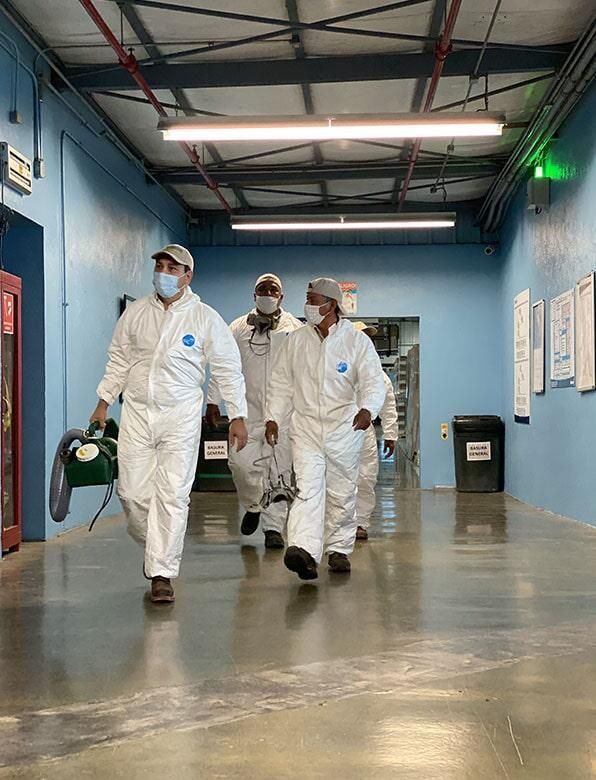 Fumigación y Sanitización