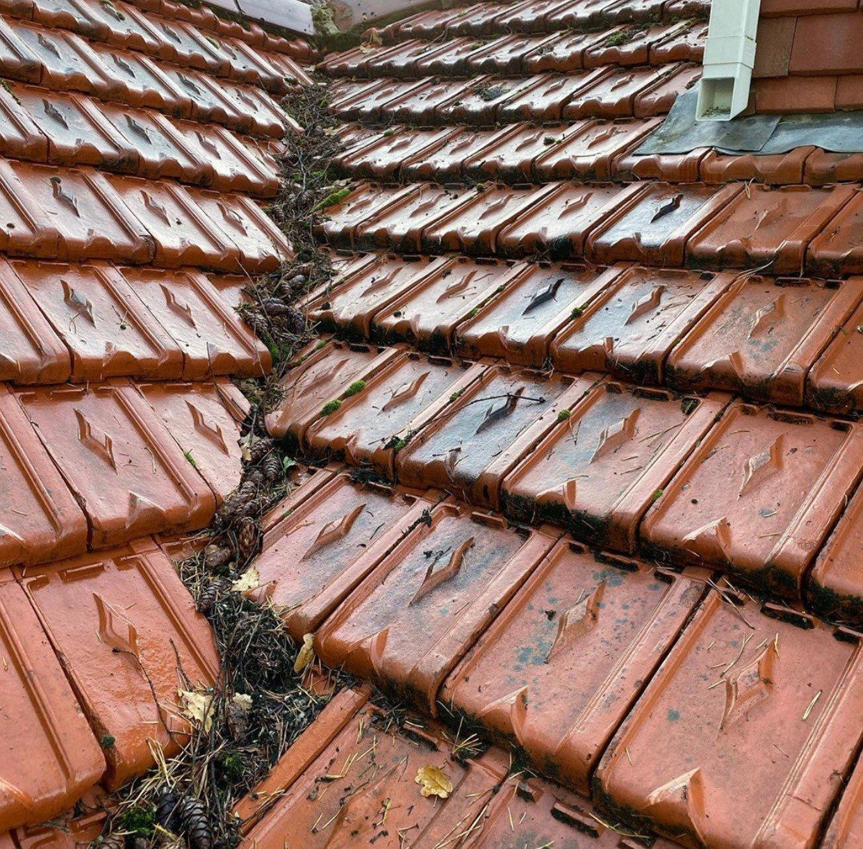 The Roof Care Company image