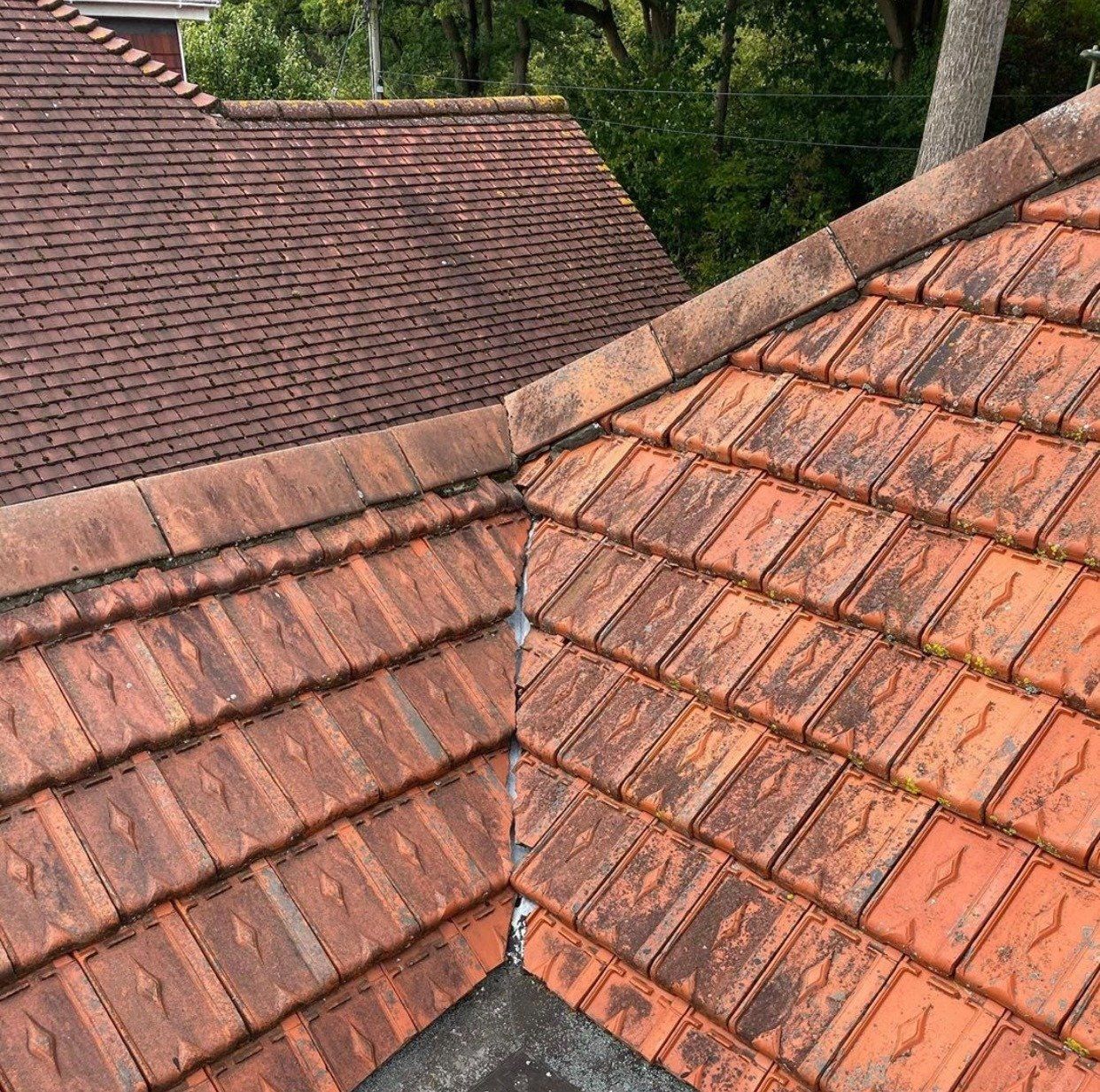 The Roof Care Company image