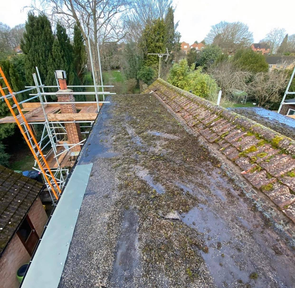 The Roof Care Company image