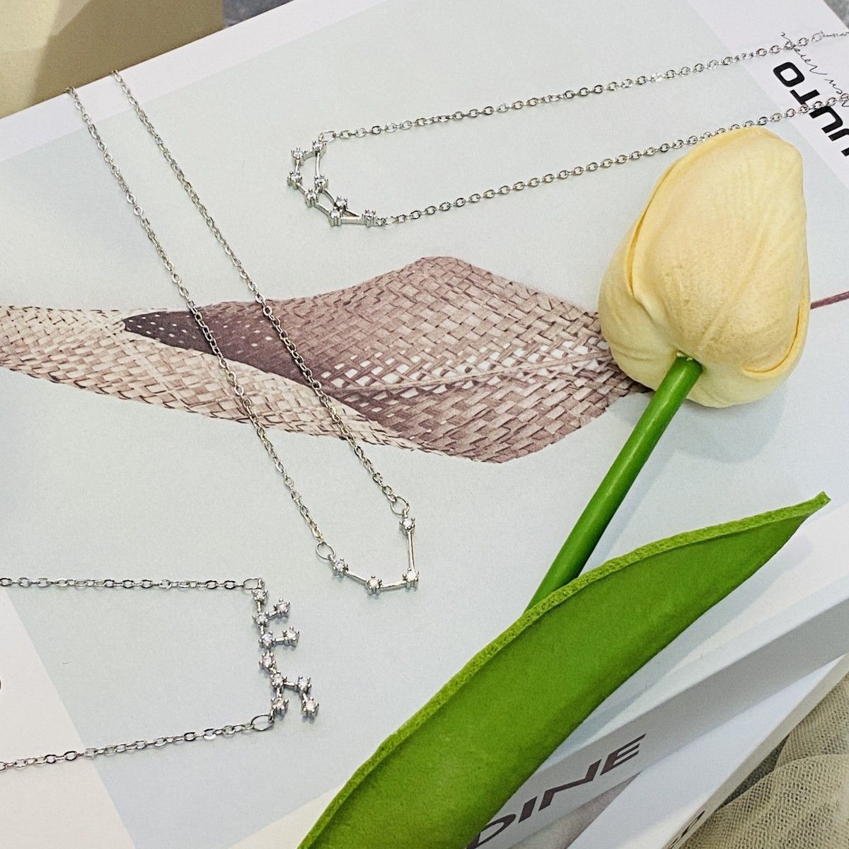 星座項鍊<預購商品>