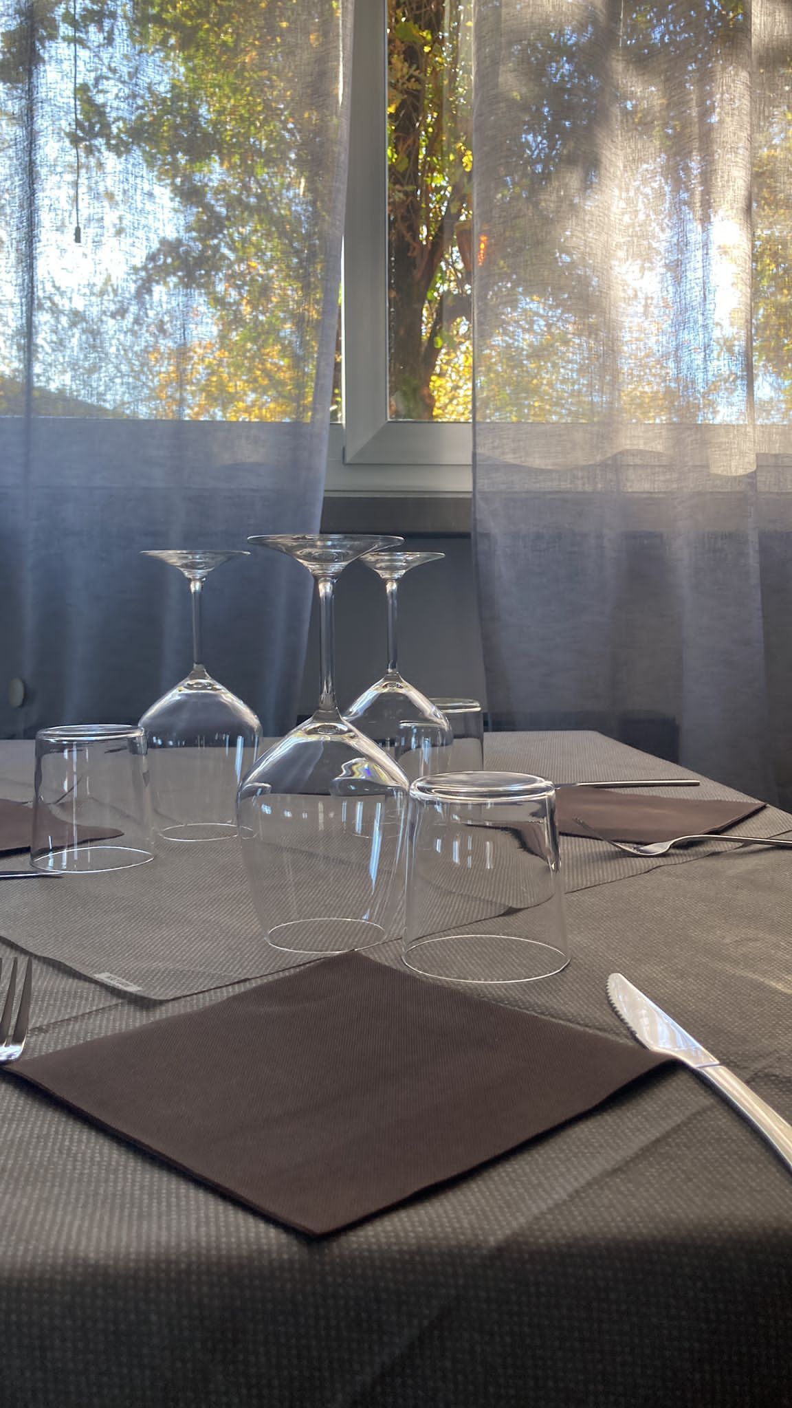 Bar Ristorante Pizzeria IL TERZO TEMPO