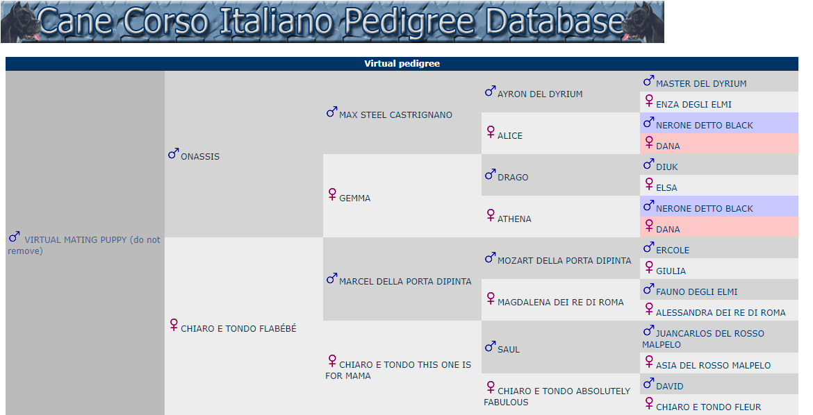 Virtual Mating Puppy (stamboom van de puppen) Stamboom van de puppen