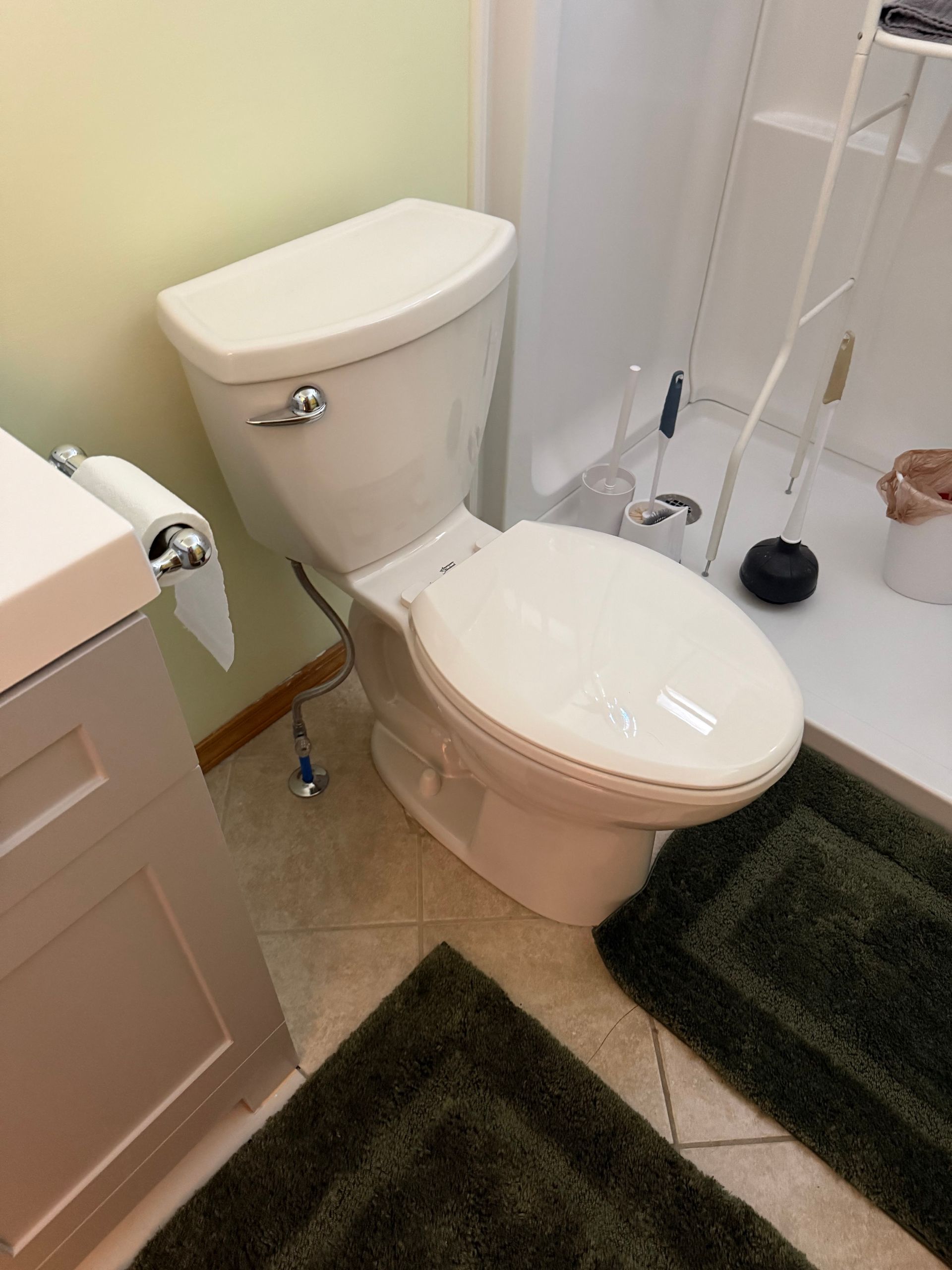 A bathroom with a toilet , sink , and rug