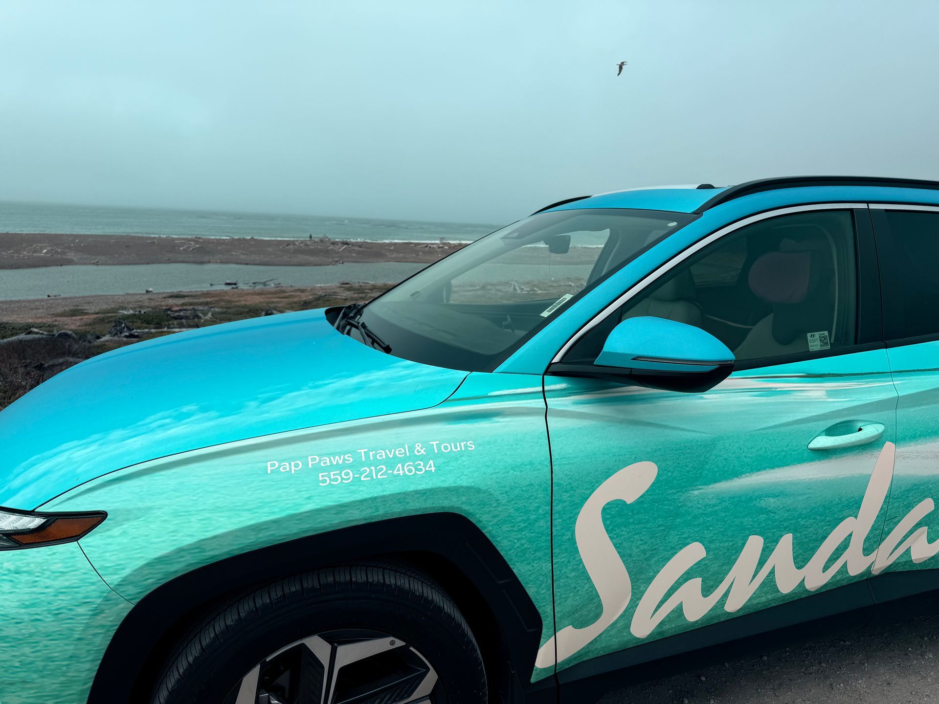 Turquoise car with 