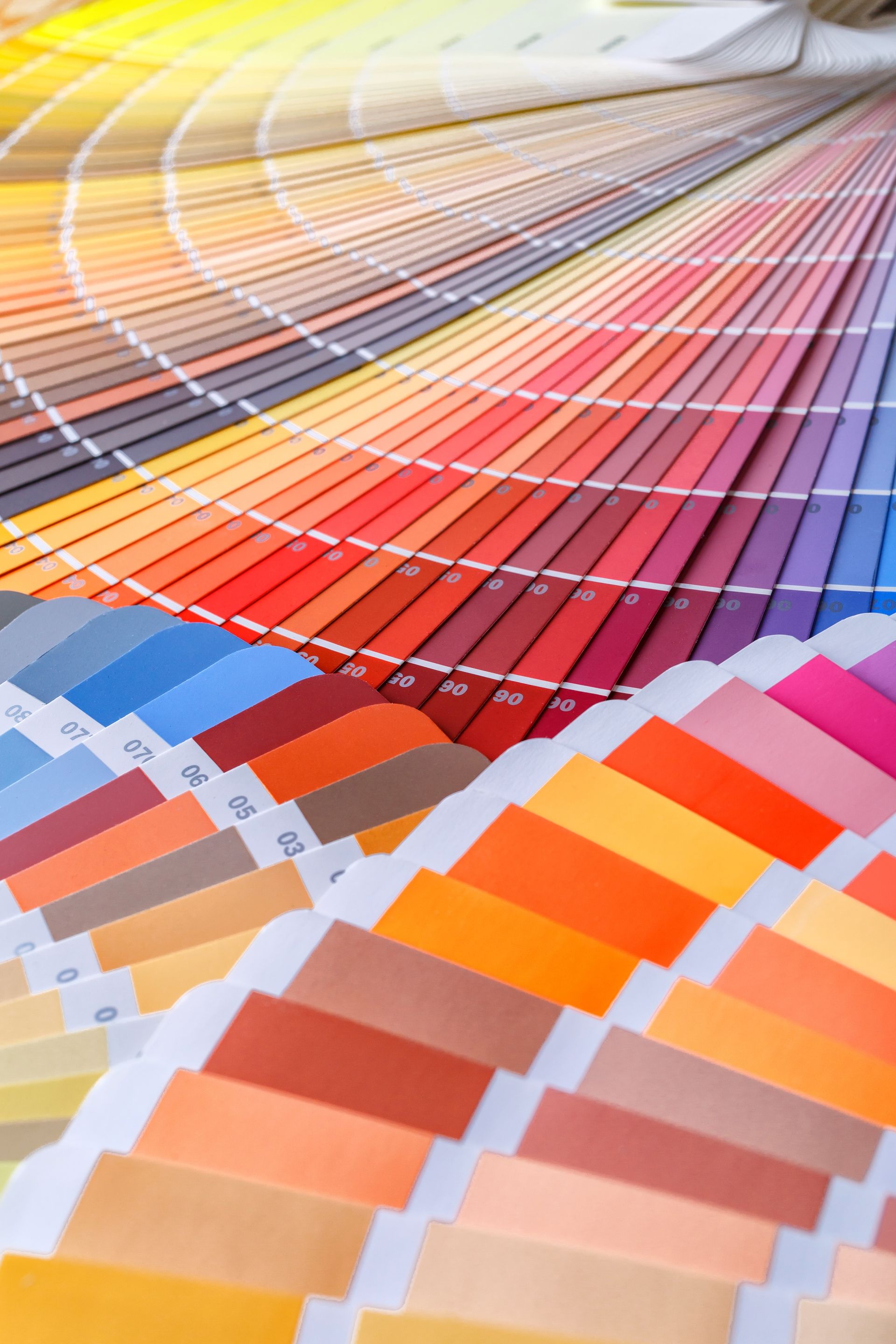 Color swatches fanned out, showcasing a wide spectrum of paint colors, from yellows and oranges to blues and purples.
