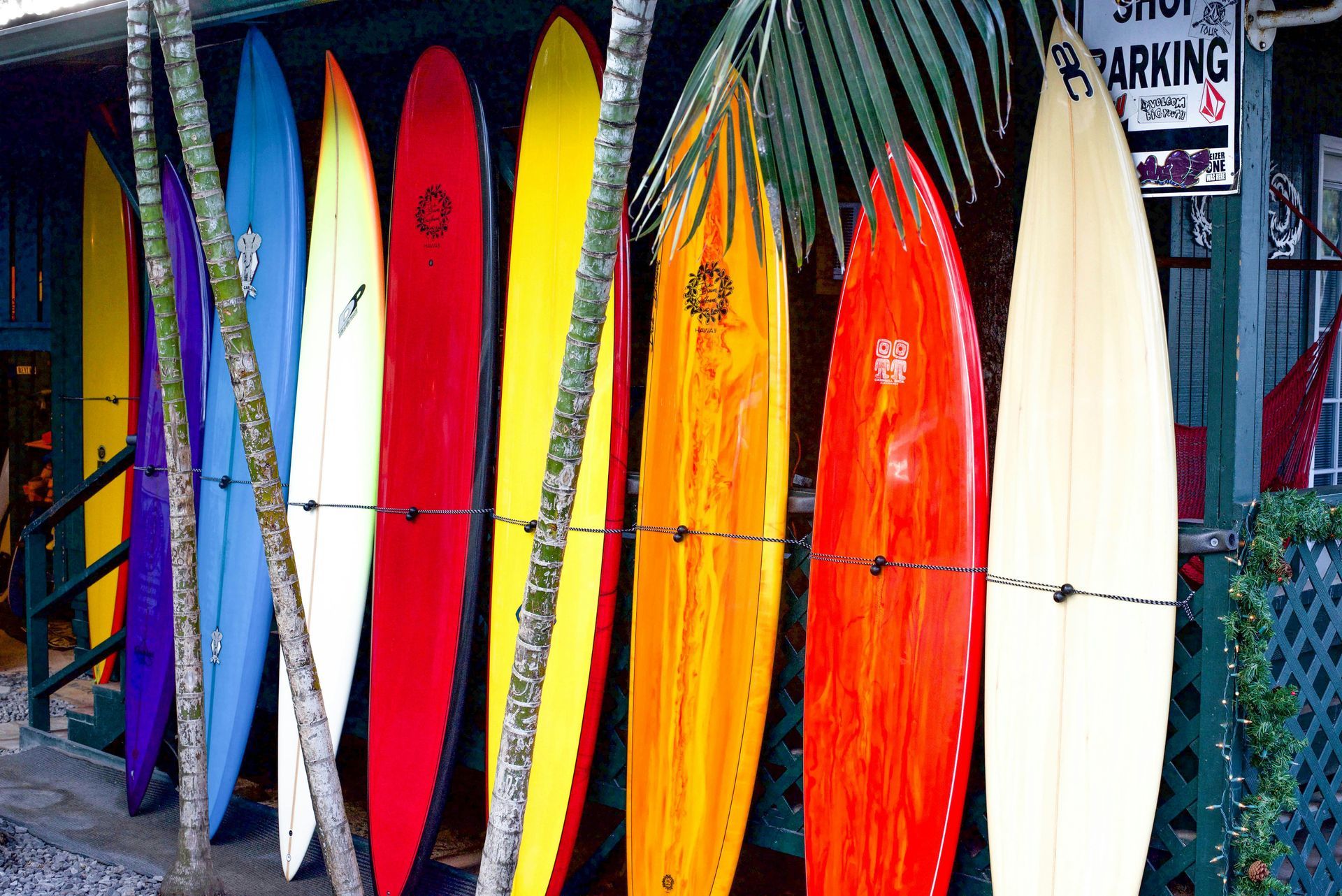 A bunch of surfboards are lined up in front of a building with a sign that says no parking