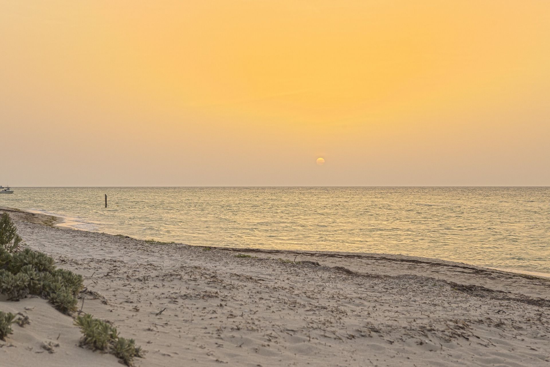 Una playa con una puesta de sol al fondo  en Tecnohotel Beach.