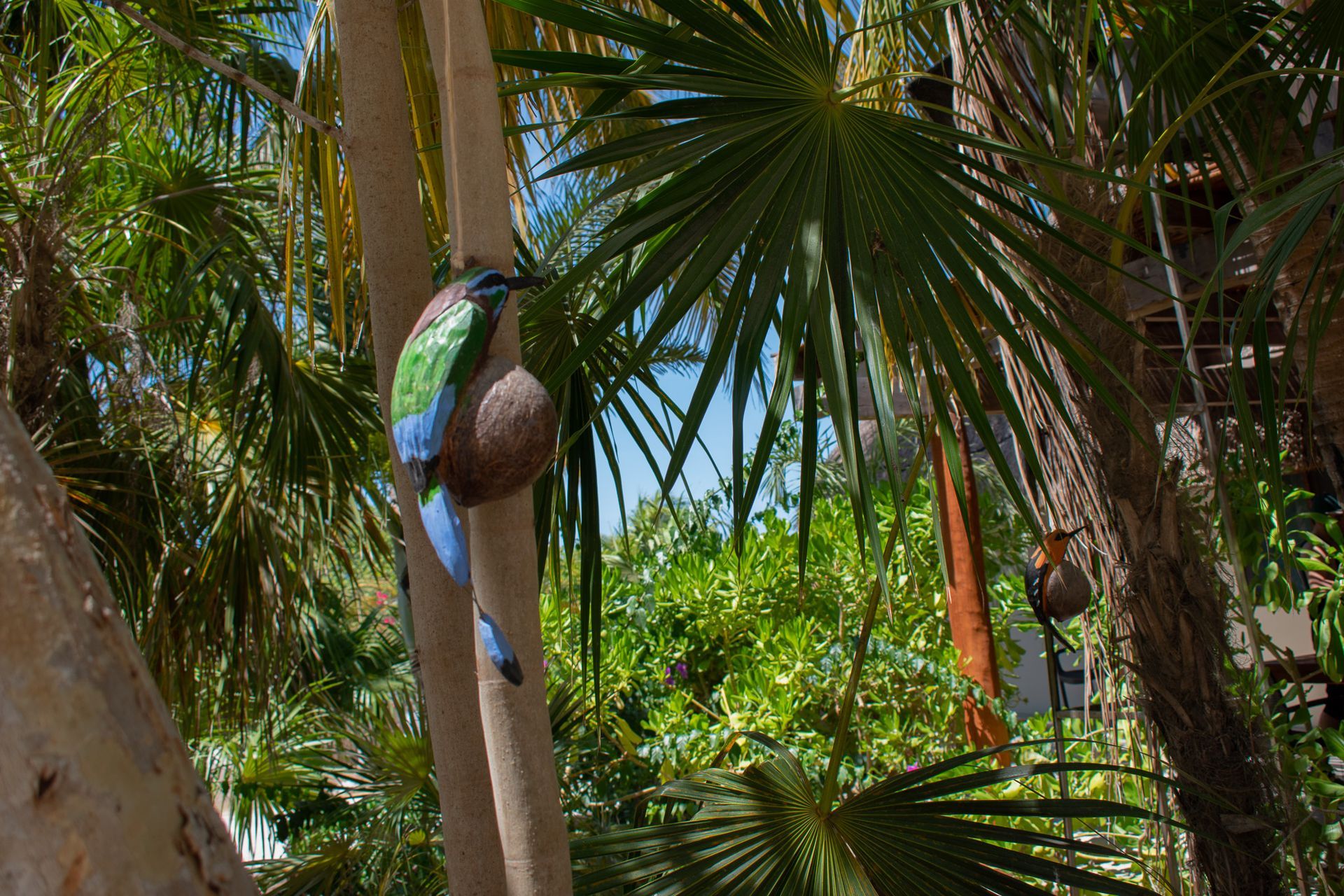 Aves en Tecnohotel Beach