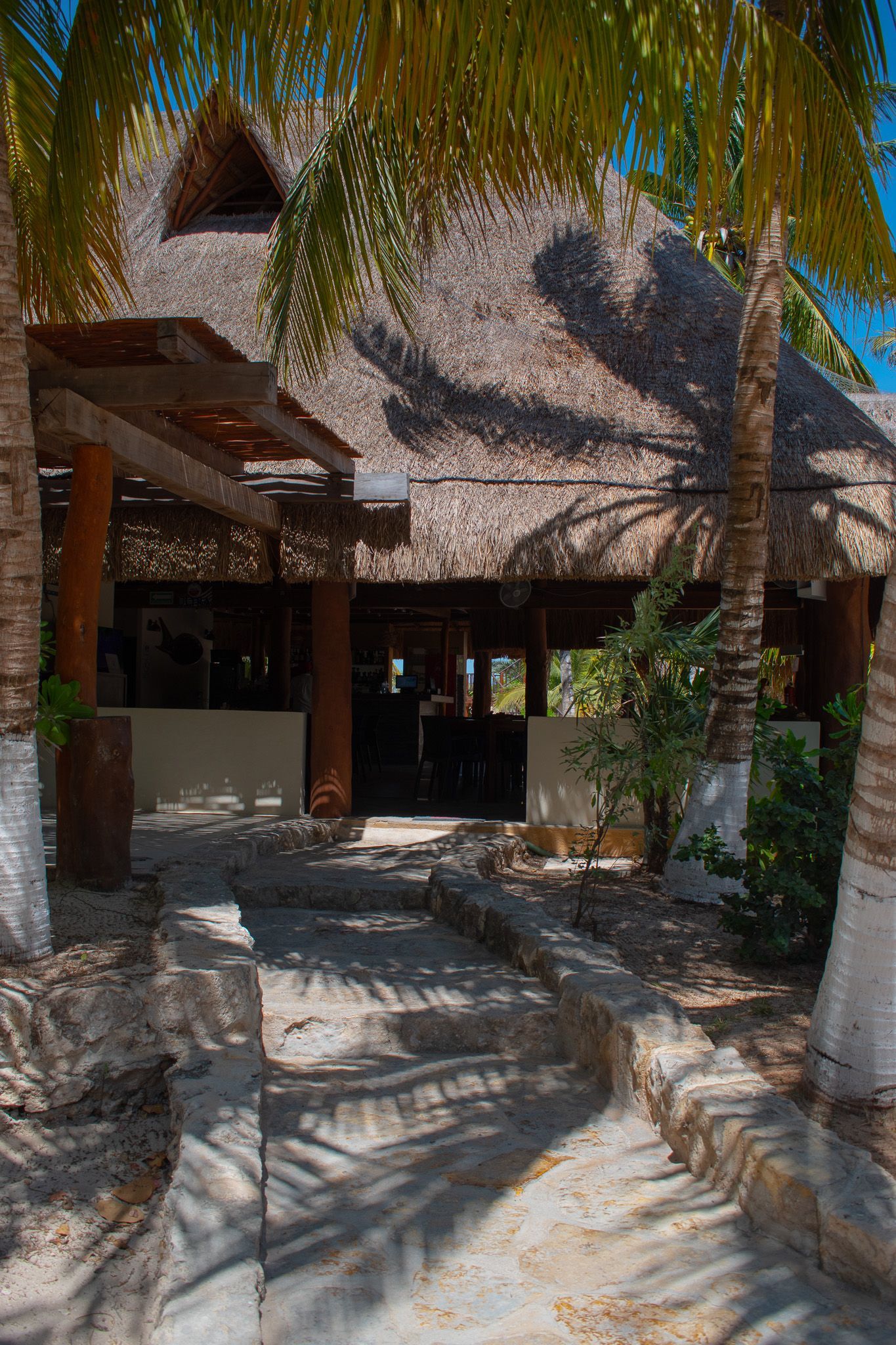 Un camino que conduce a un edificio con techo de paja en Tecnohotel Beach