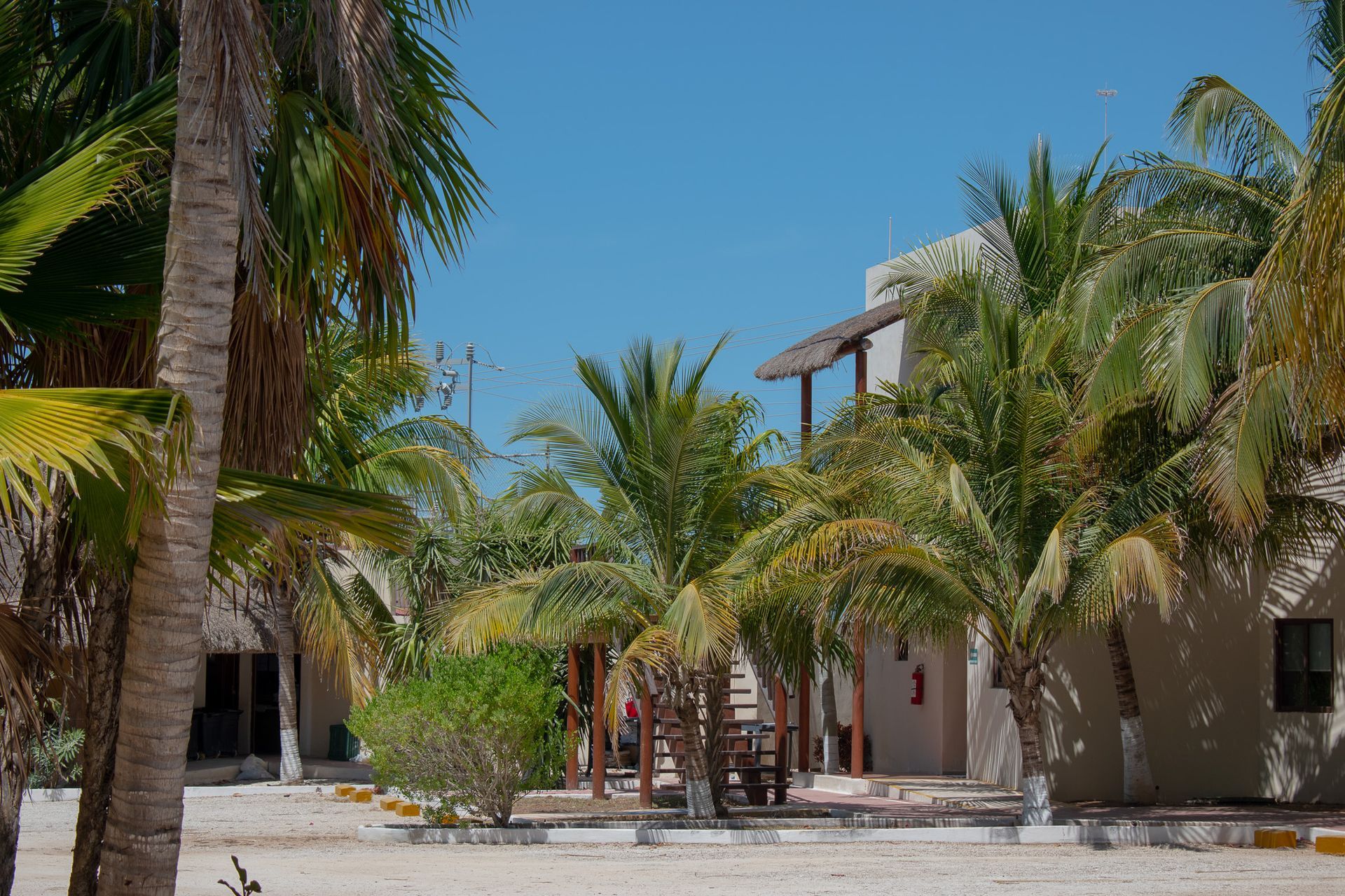 Habitaciones rodeadas de palmeras en Tecnohotel Beach