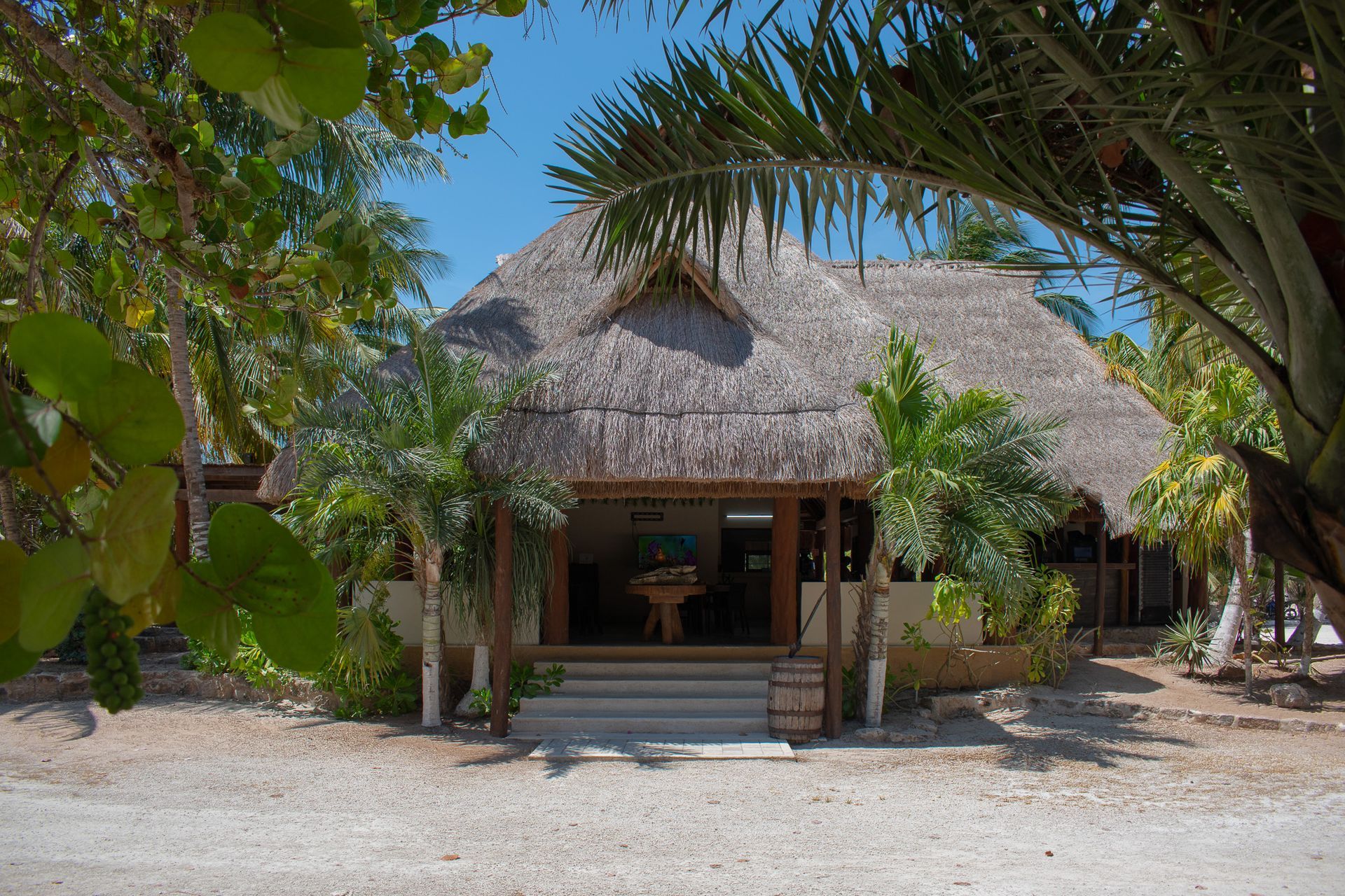 Una casa  de paja está rodeada de palmeras en Tecnohotel Beach
