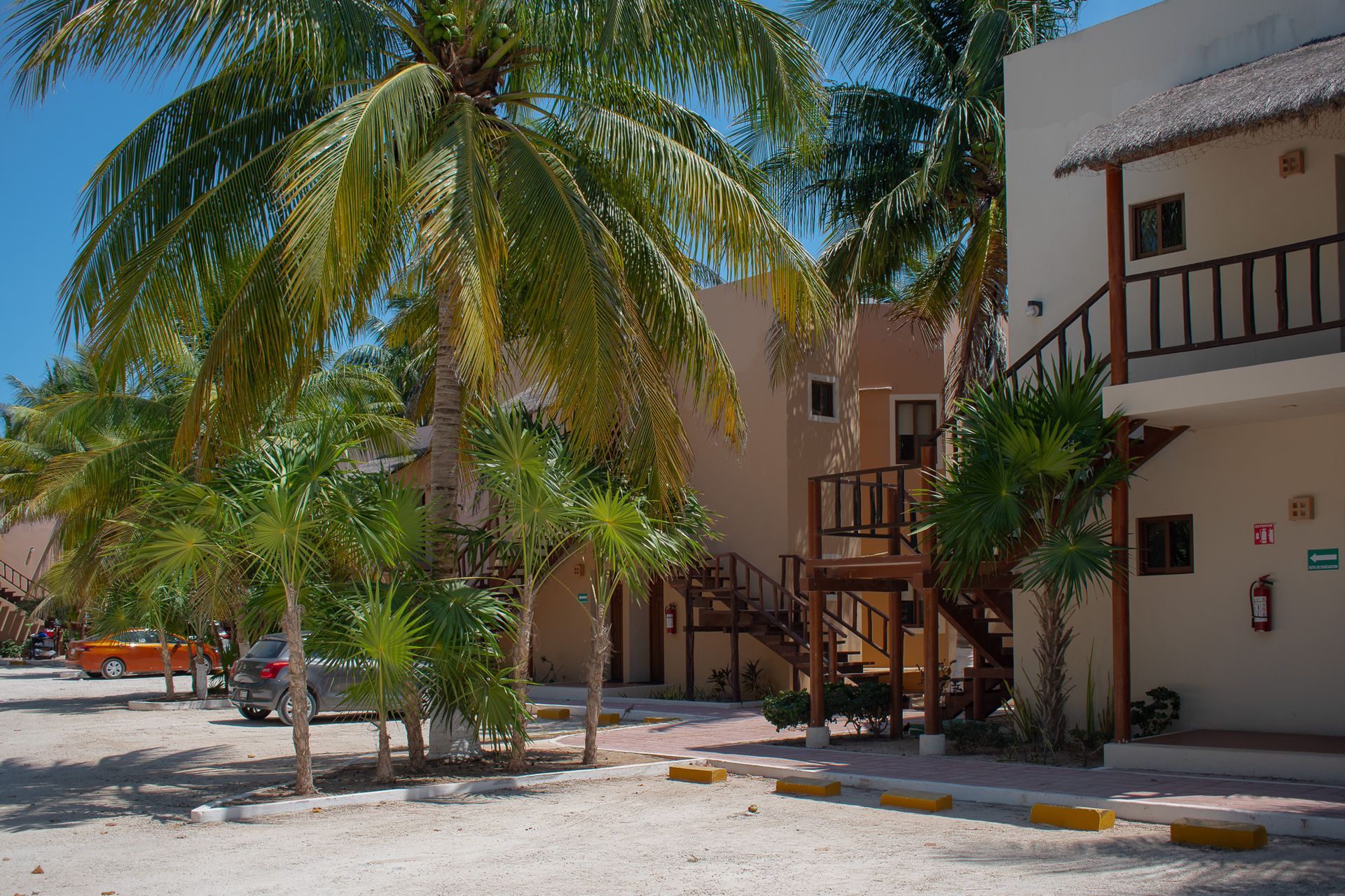 Palmeras en Tecnohotel Beach