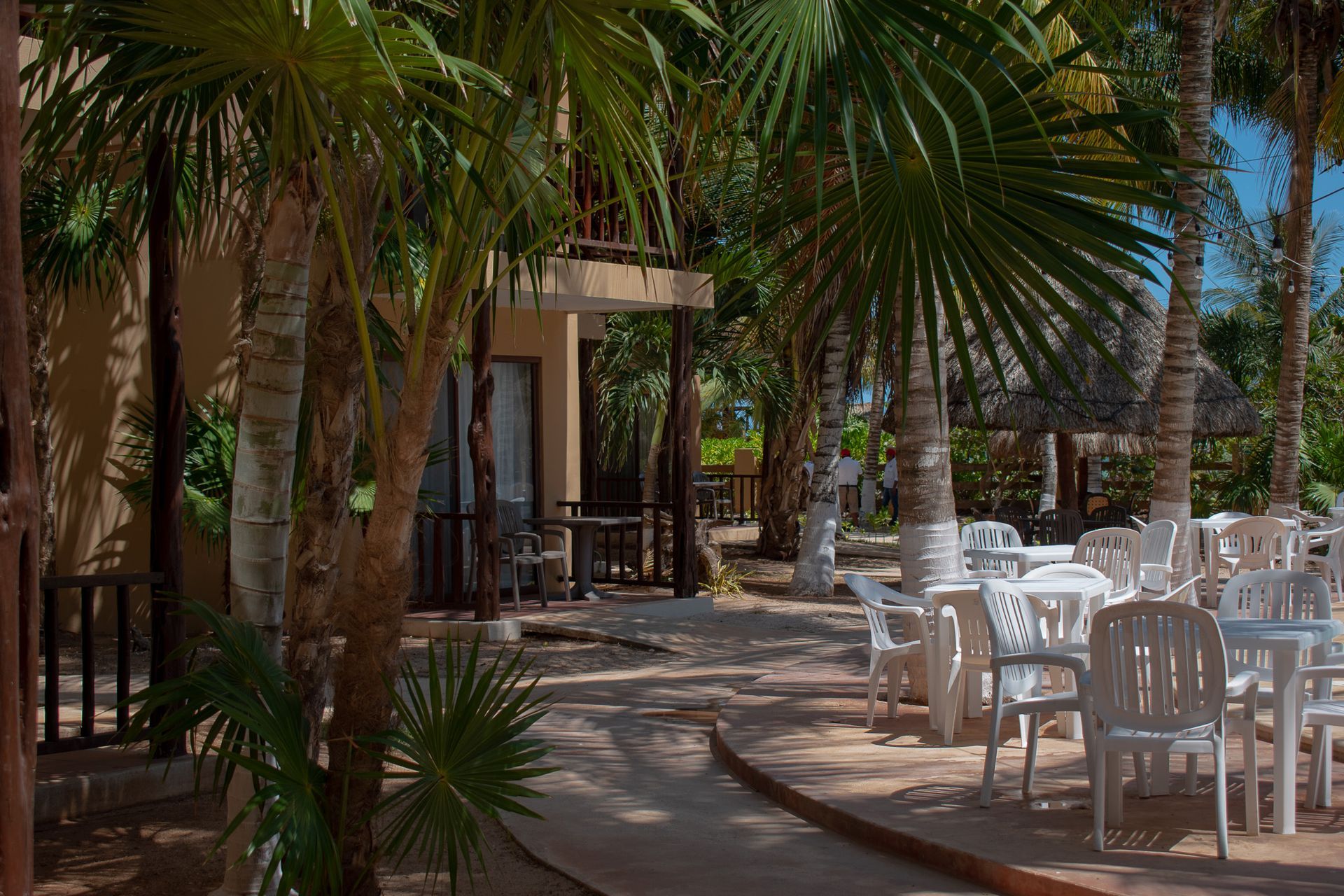 Área de patio con mesas y sillas rodeada de palmeras en Tecnohotel Beach