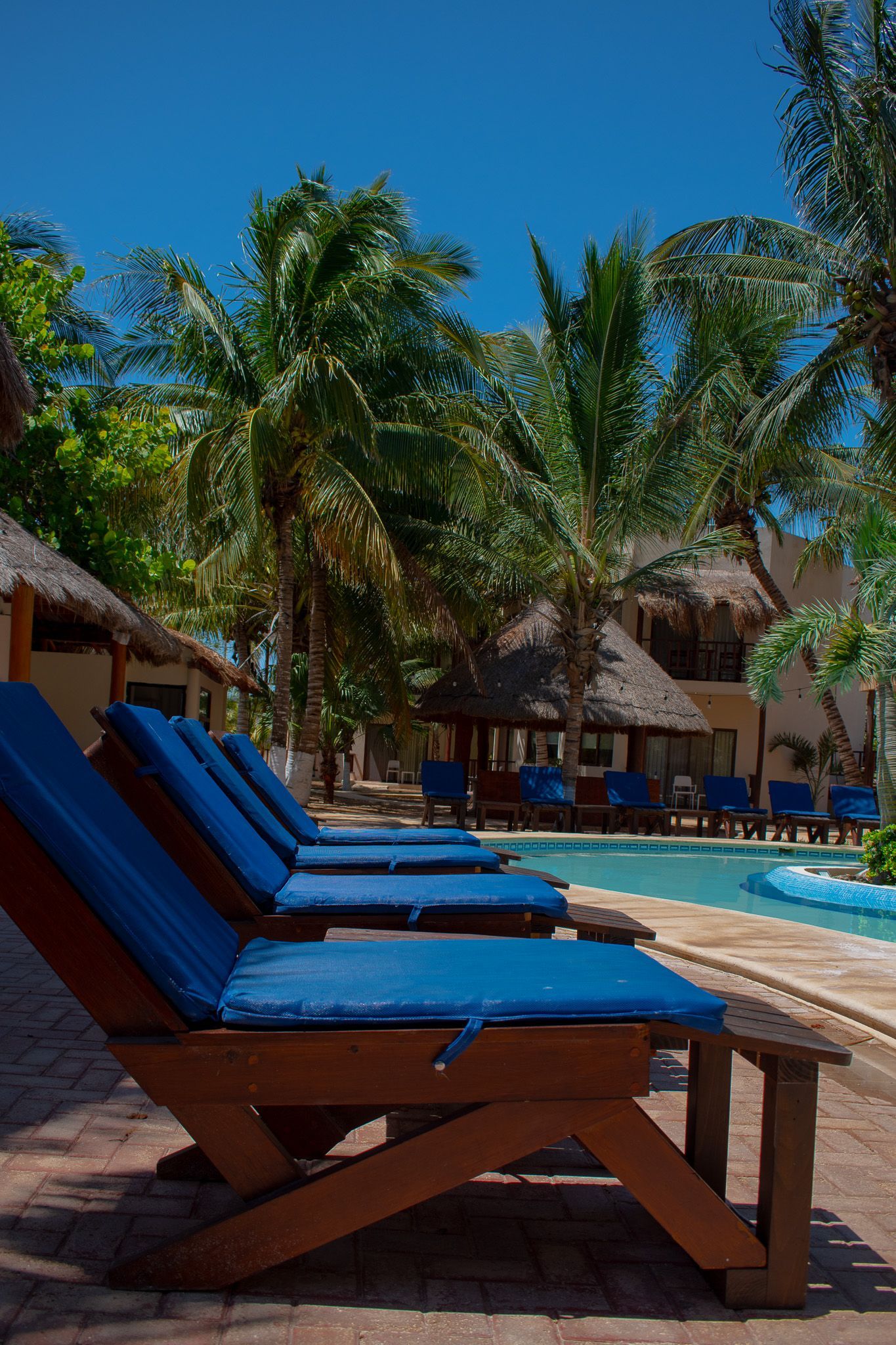 Una fila de sillones azules se encuentran junto a una piscina de Tecnohotel Beach.