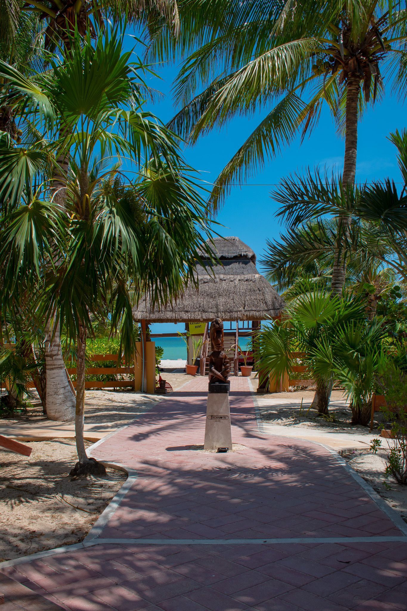 Mujer caminando por un sendero hacia la playa rodeado de palmeras en Tecnohotel Beach