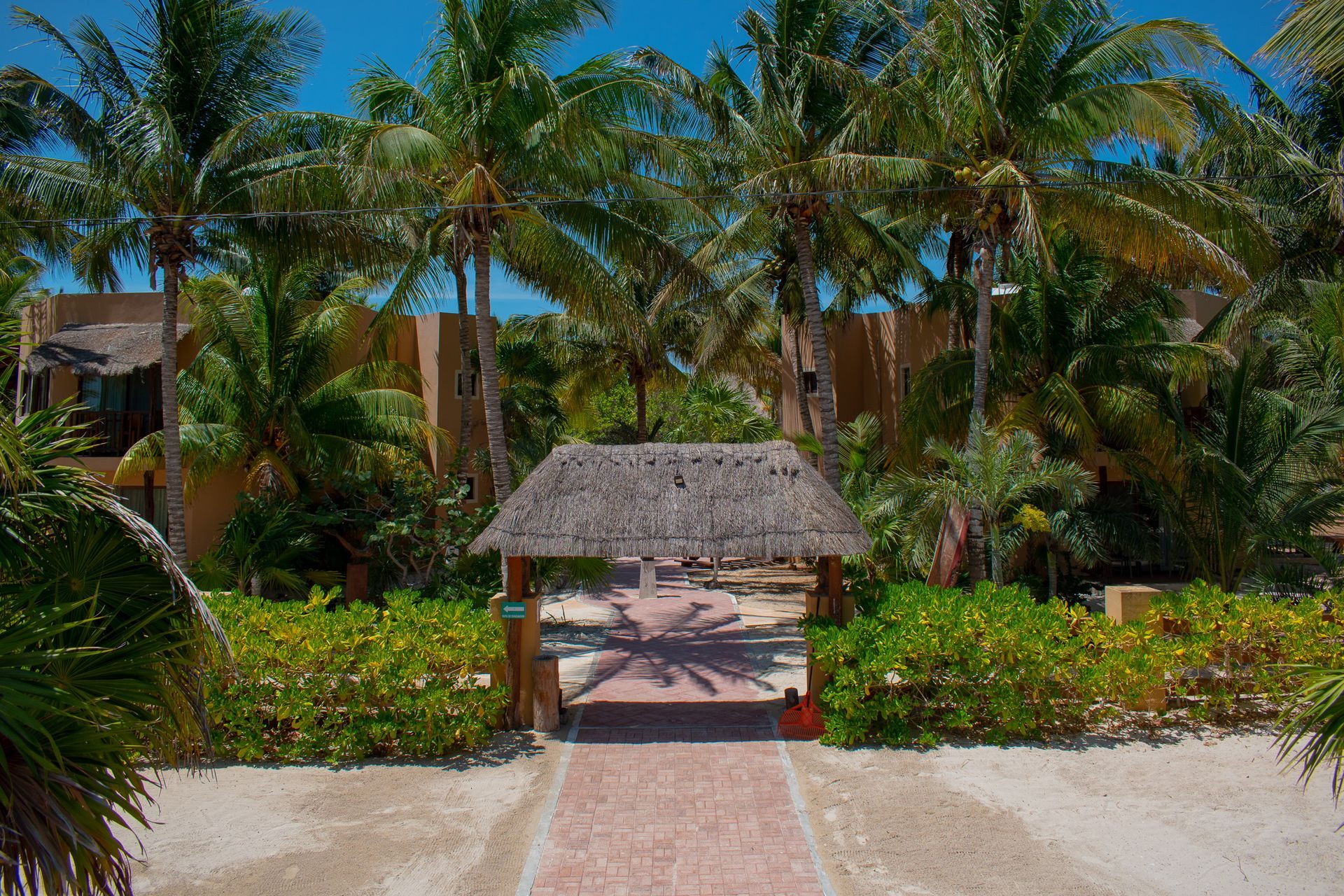 Patio Tecnohotel Beach