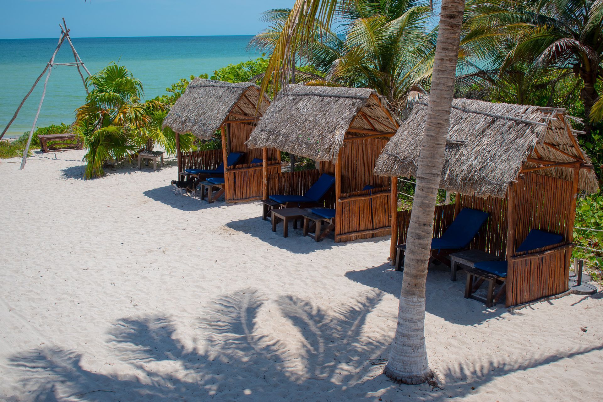 Una hilera de chozas con techo de paja en una playa al lado de una palmera en Tecnohotel Beach