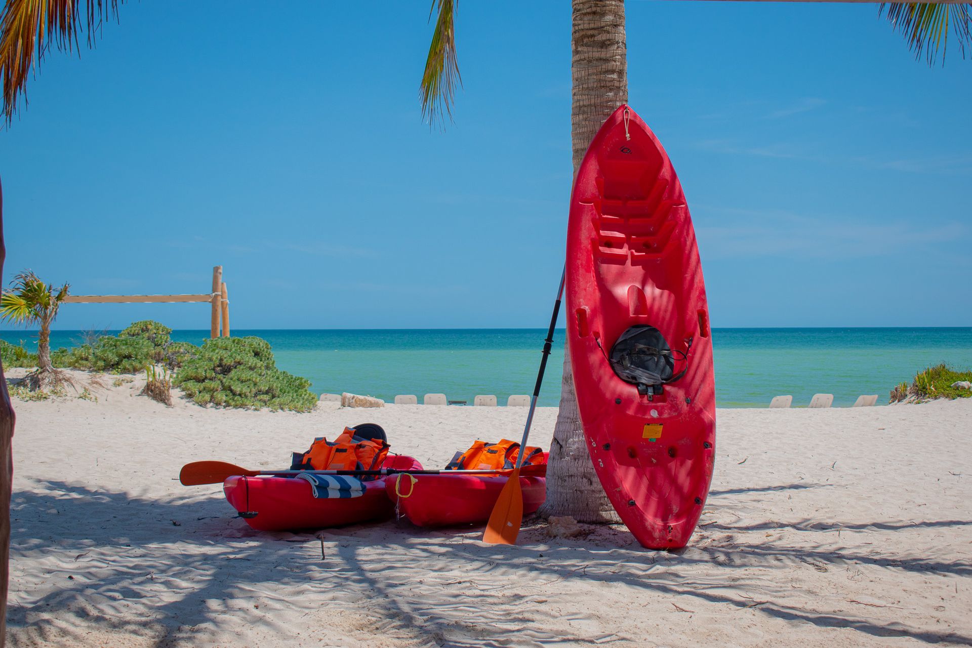 Un kayak rojo apoyado contra una palmera en Tecnohotel Beach