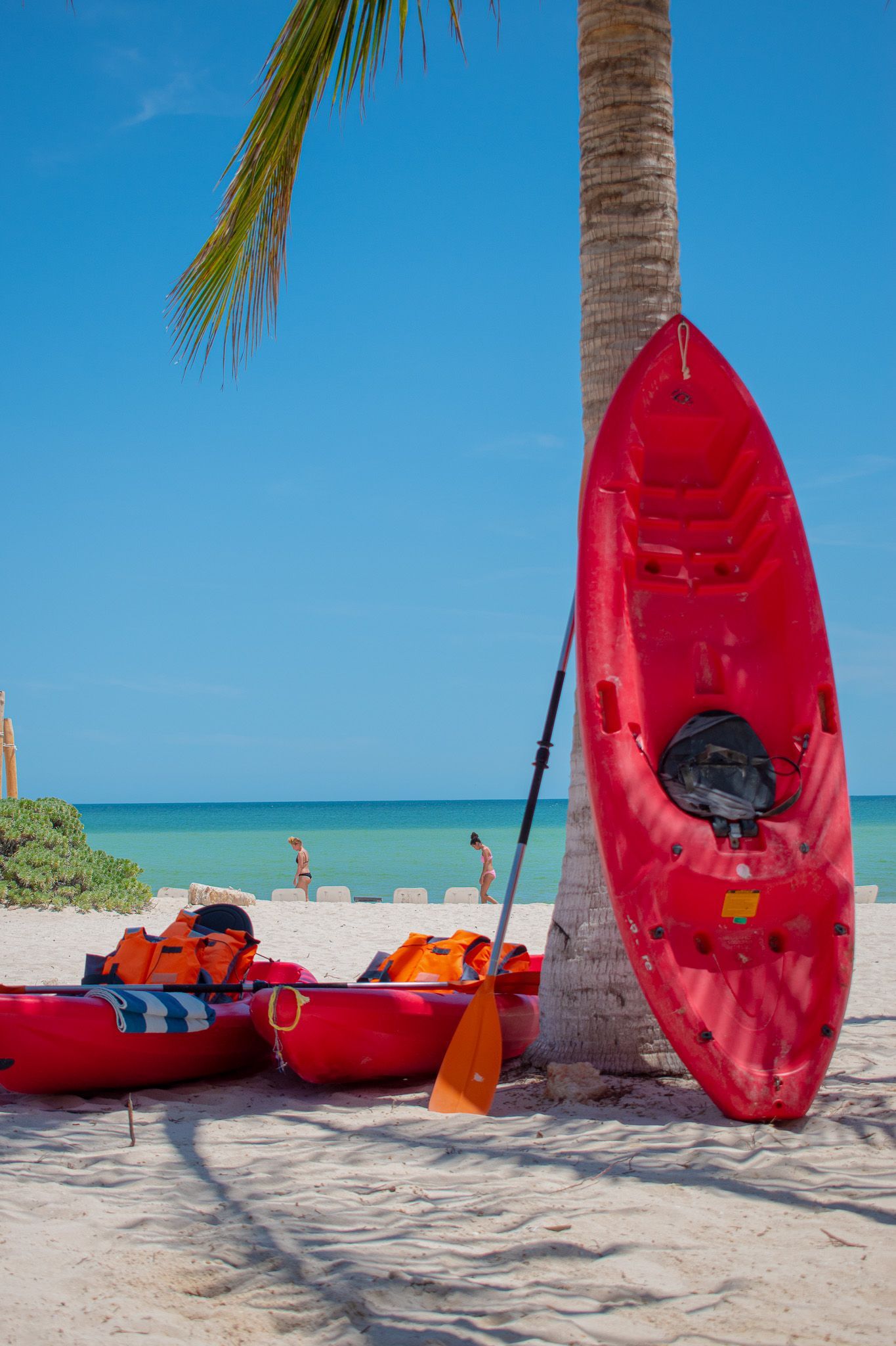 Un kayak rojo está apoyado contra una palmera en la playa de Tecnohotel Beach