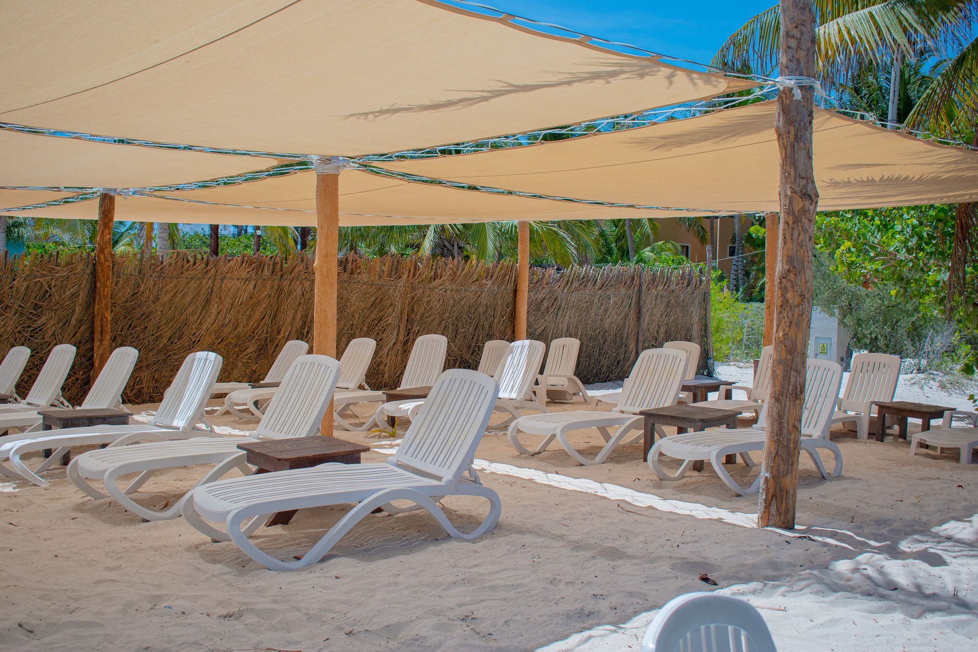 Sombrillas en una playa fuera de Tecnohotel Beach