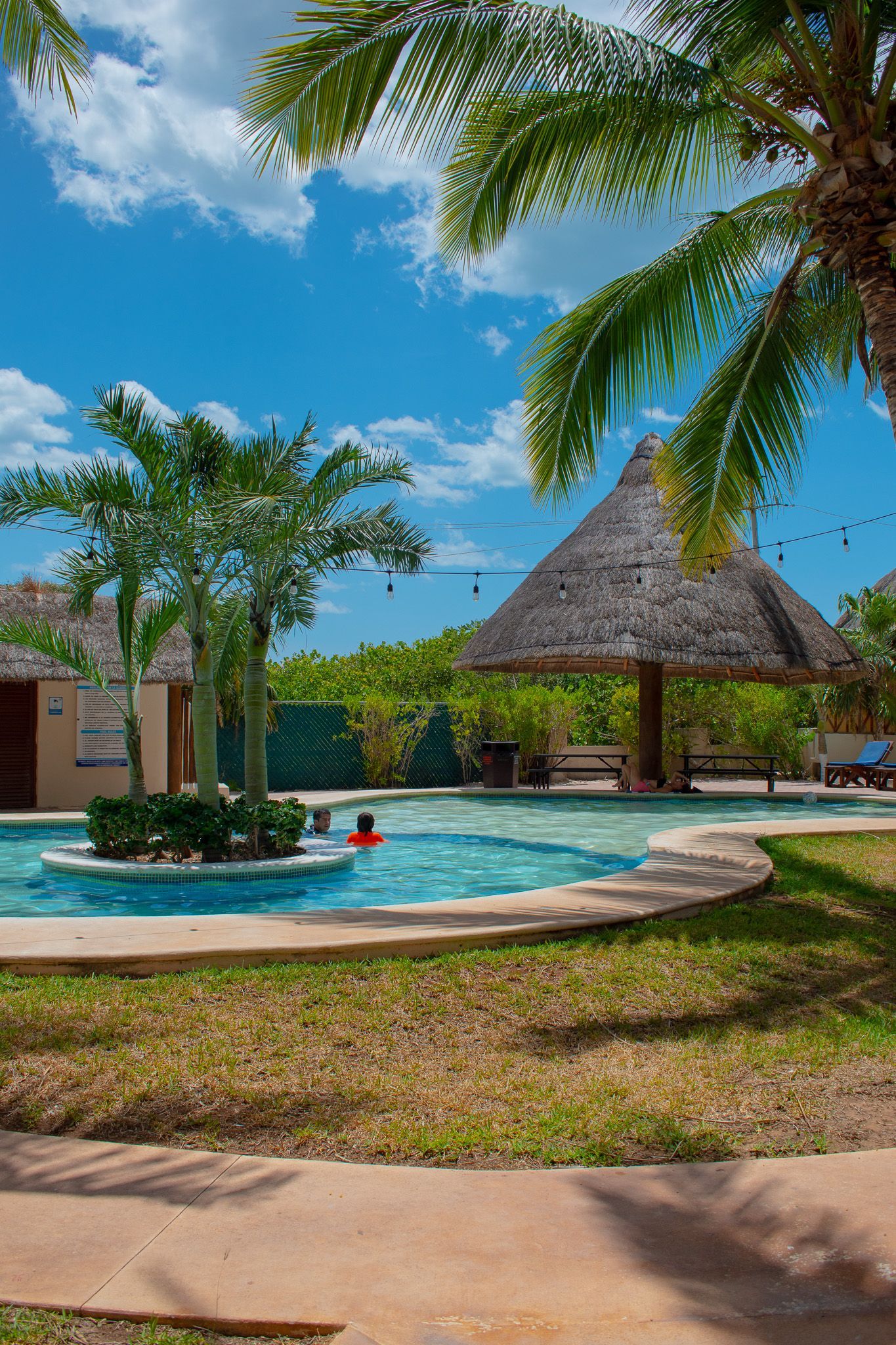 Una piscina rodeada de palmeras y palapa en Tecnohotel Beach