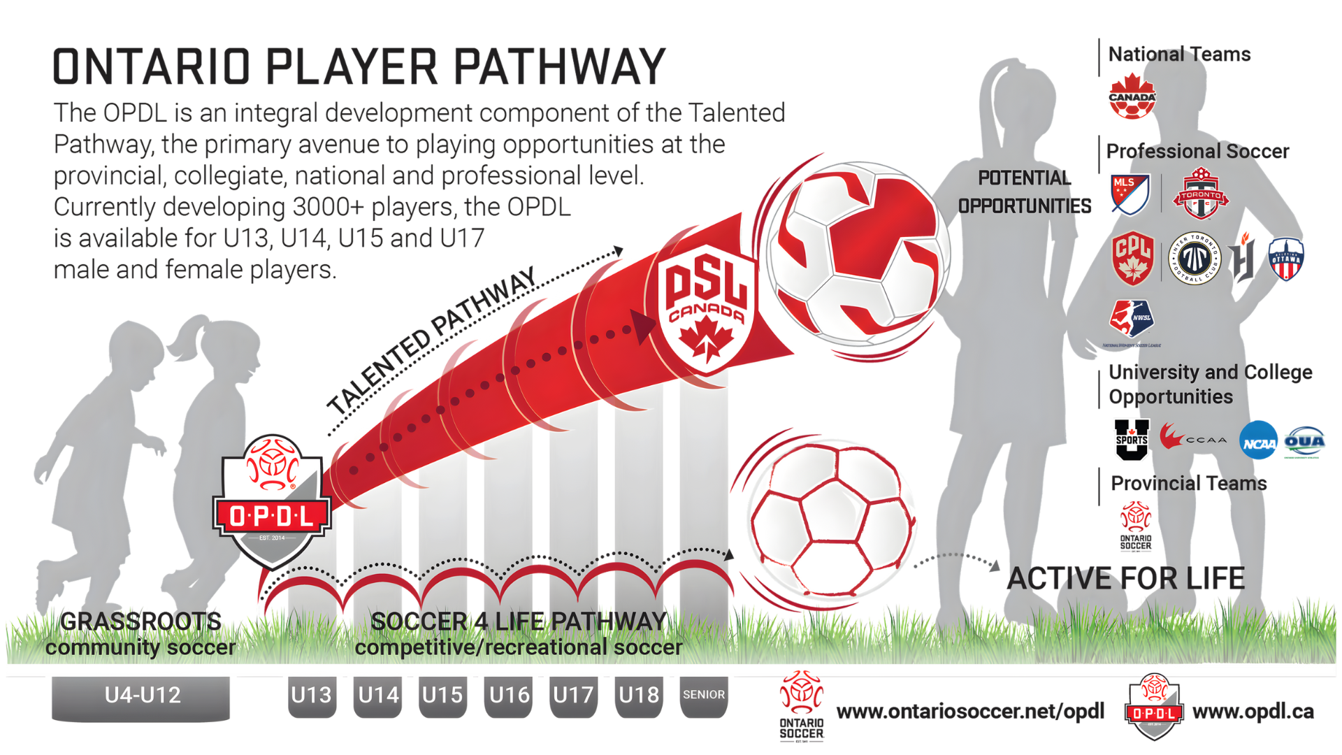 OPDL License Holder