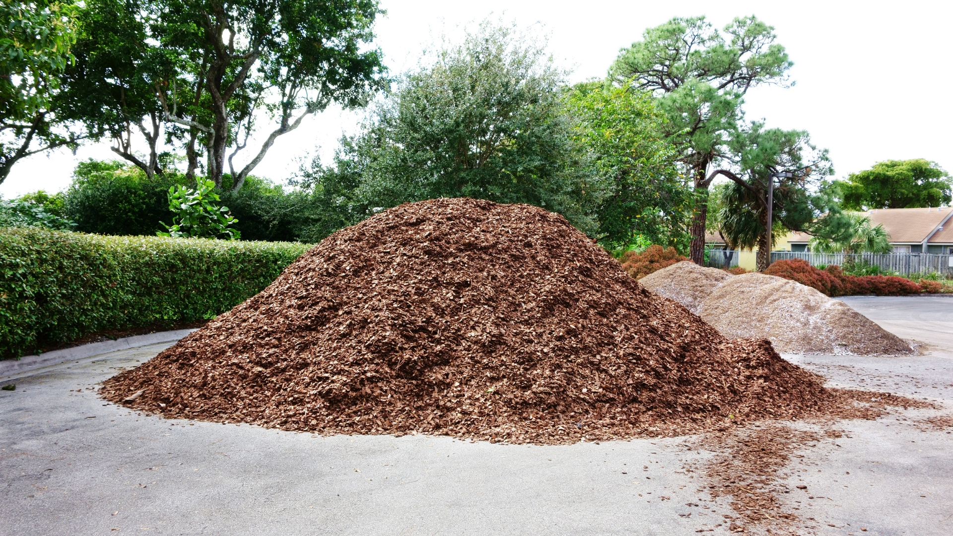 A pile of wood chips sits in a parking lot