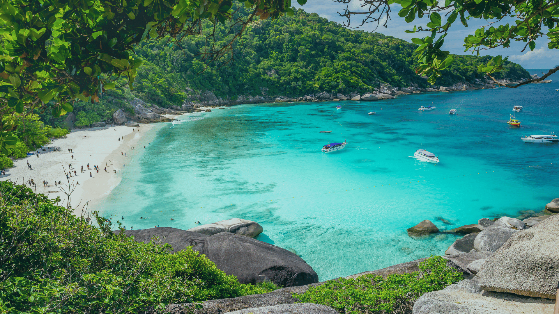 view of beach in similan island
