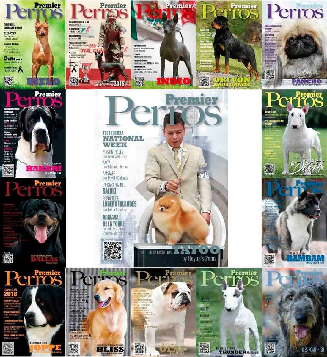 xoloitzcuintle en venta