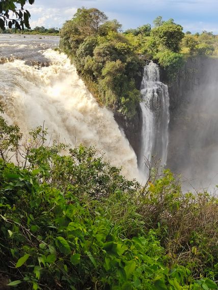 A waterfall is surrounded by trees and bushes on a sunny day