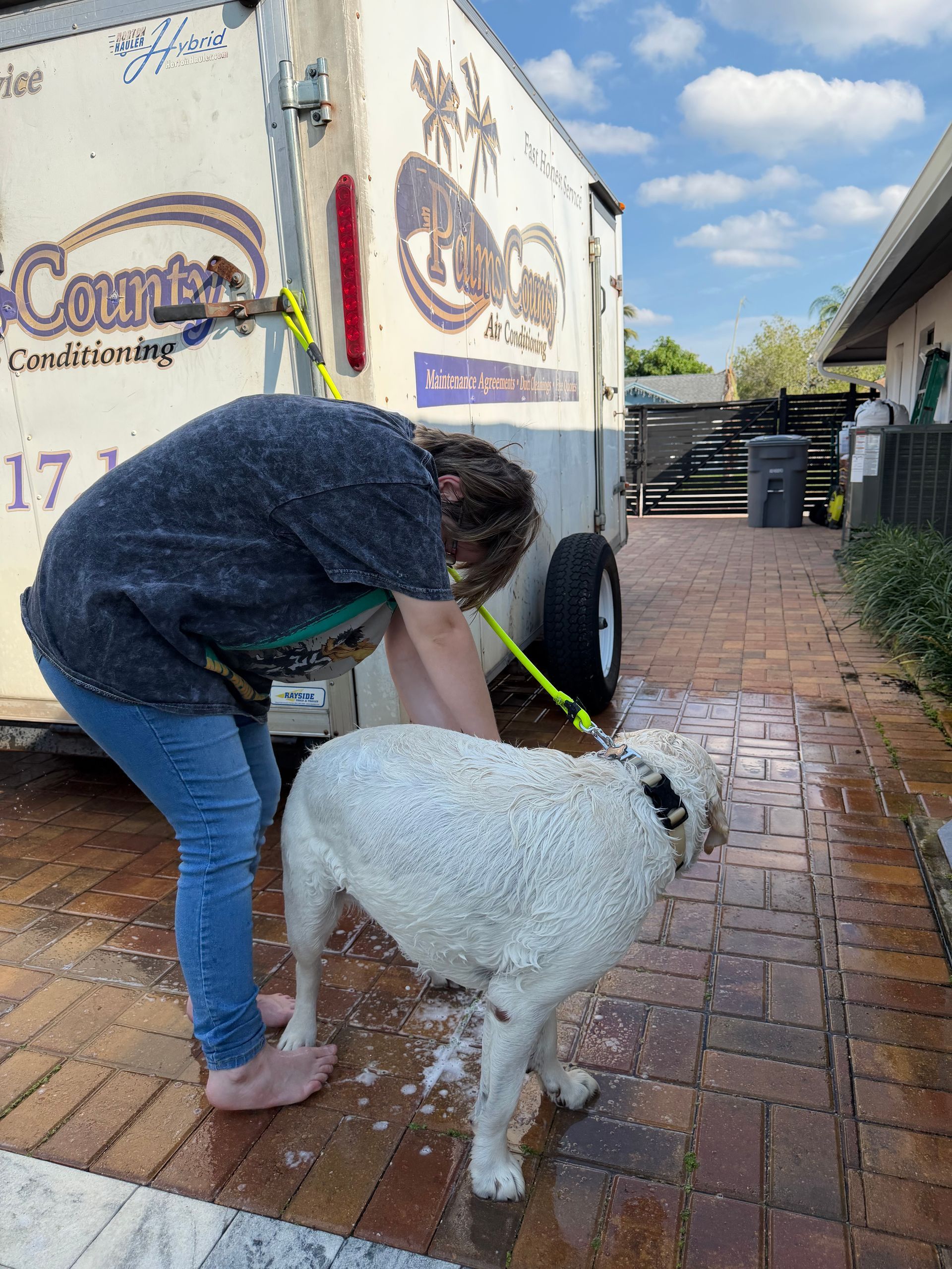 Person leans over to leash a white dog on a wet brick walkway outside a building.