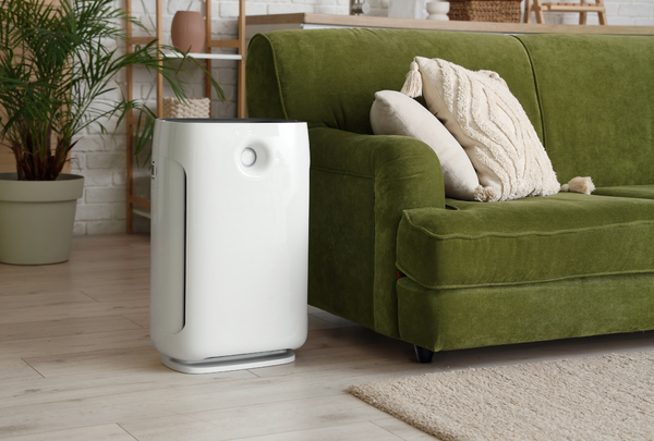 White air purifier beside a green sofa in a cozy living room with plants and a rug