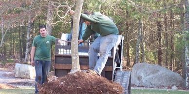 Two men planting a tree: one on the truck, one standing on the ground
